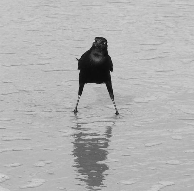 Funny picdump (125 pics)