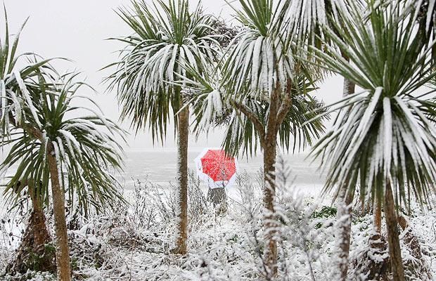 Funny picdump (125 pics)