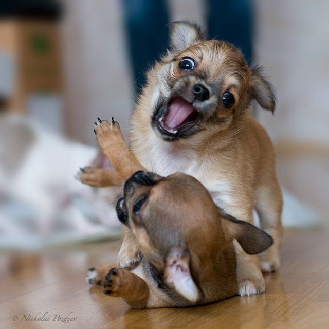 Funny picdump (125 pics)