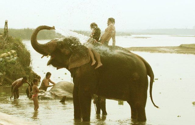 Funny picdump (125 pics)