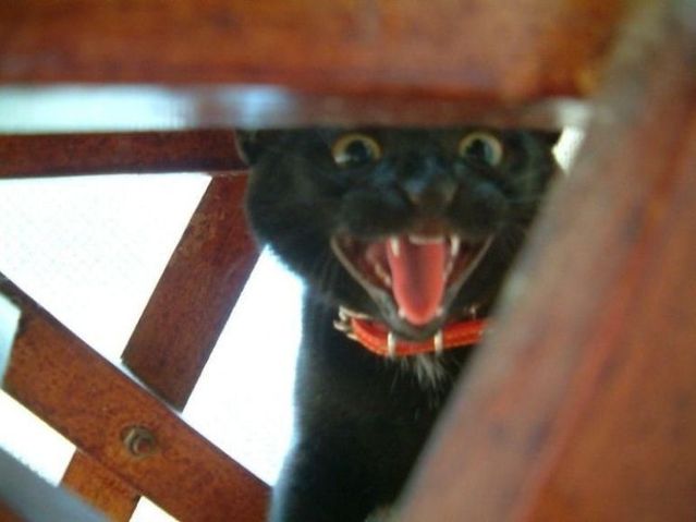 Funny picdump (125 pics)