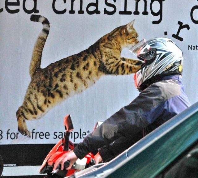 Funny picdump (125 pics)