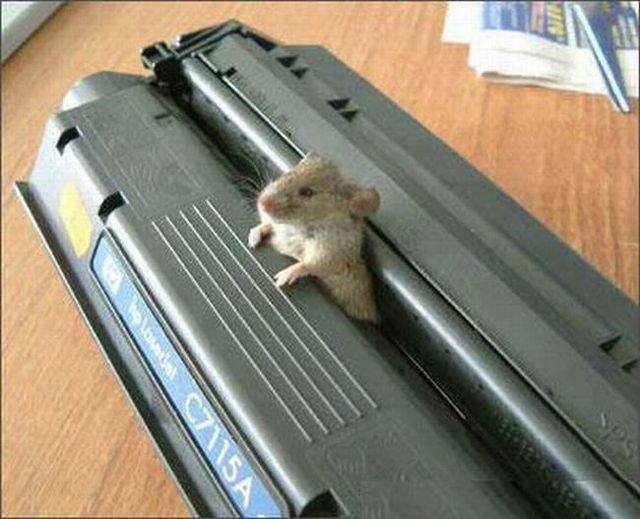 Funny picdump (125 pics)