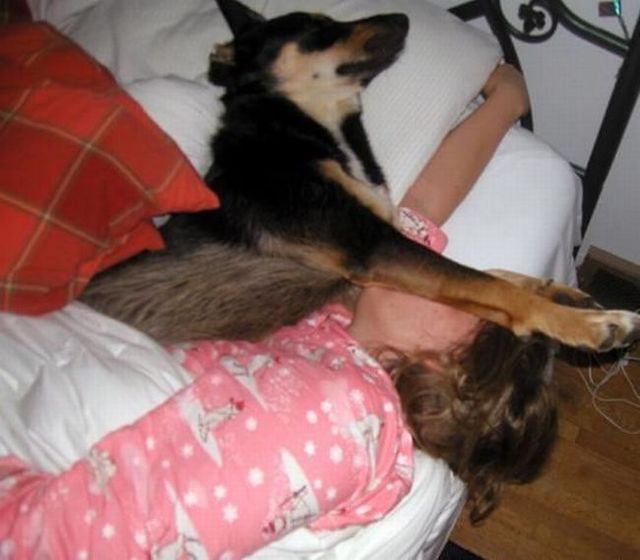 Funny picdump (106 pics)