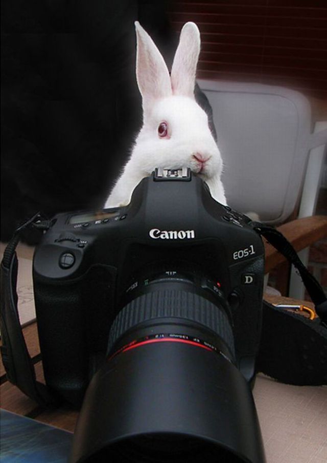 Funny picdump (106 pics)