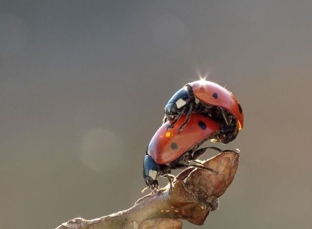 Funny picdump (154 pics)