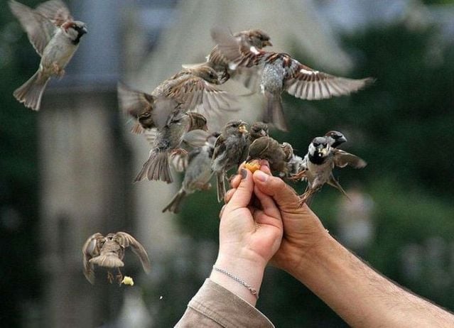 Funny picdump (154 pics)