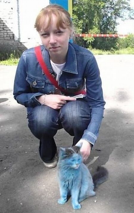 Funny picdump (154 pics)