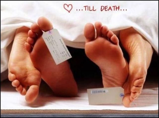 Funny picdump (154 pics)