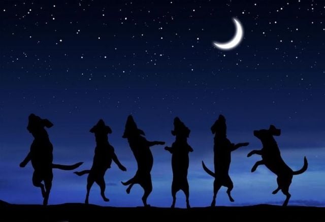 Funny picdump (154 pics)