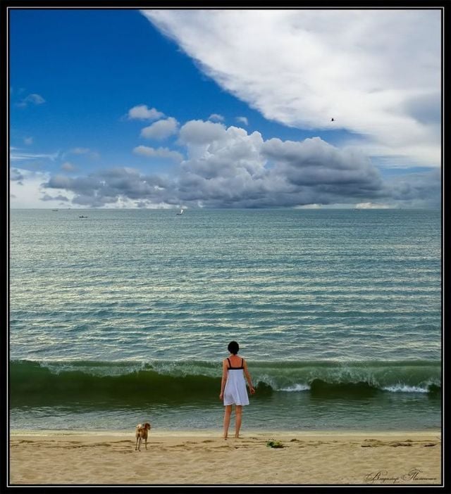 Funny picdump (154 pics)