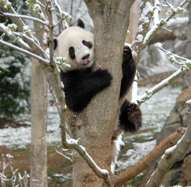 Funny picdump (100 pics)