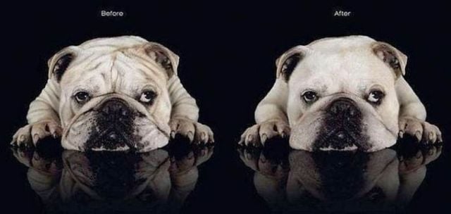 Funny picdump (100 pics)