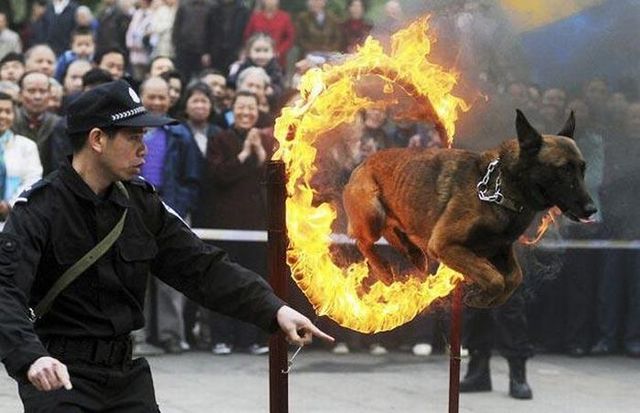 Funny picdump (146 pics)