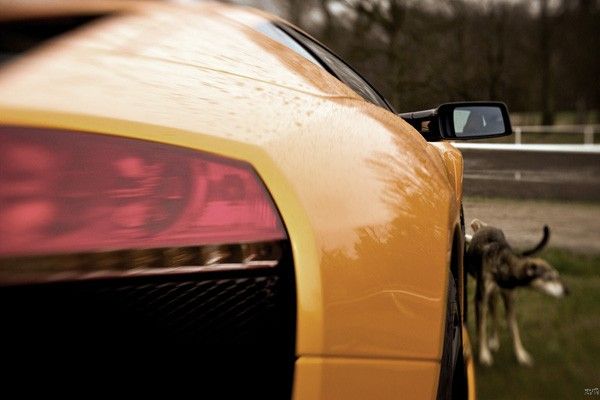 Daily picdump (86 pics)