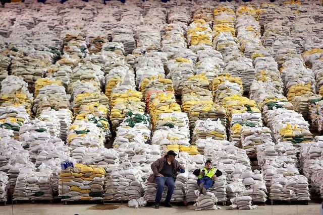 Daily picdump (86 pics)