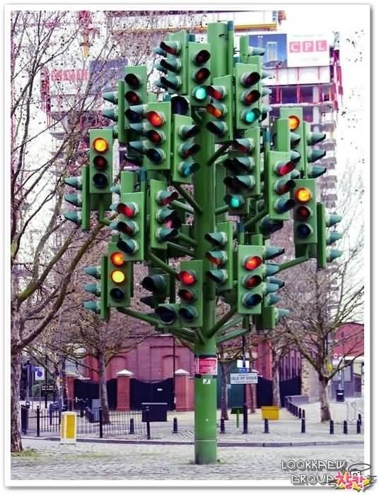 Daily picdump (86 pics)