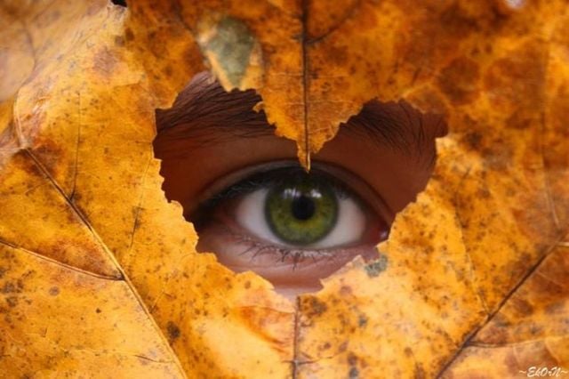 Daily picdump (86 pics)