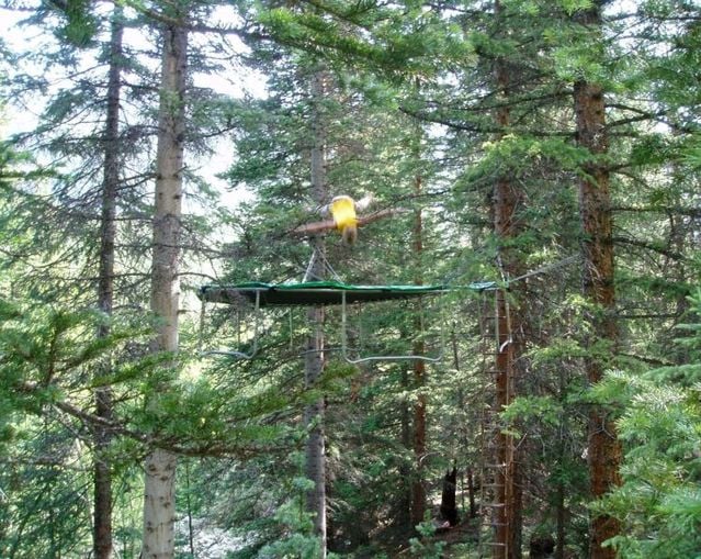 Daily picdump (86 pics)