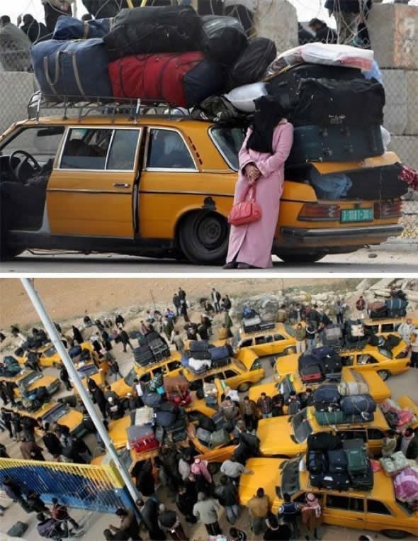 Daily picdump (86 pics)