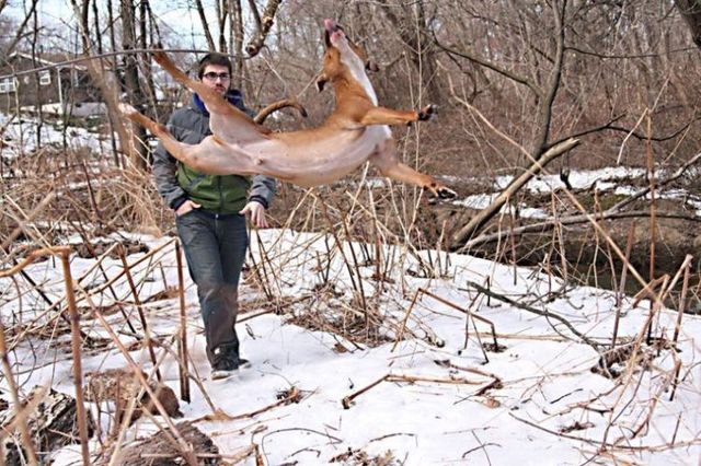 Daily picdump (86 pics)