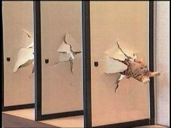 Daily picdump (119 pics)