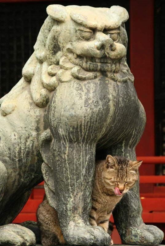 Daily picdump (108 pics)