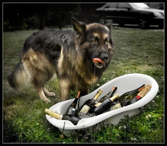 Daily picdump (108 pics)