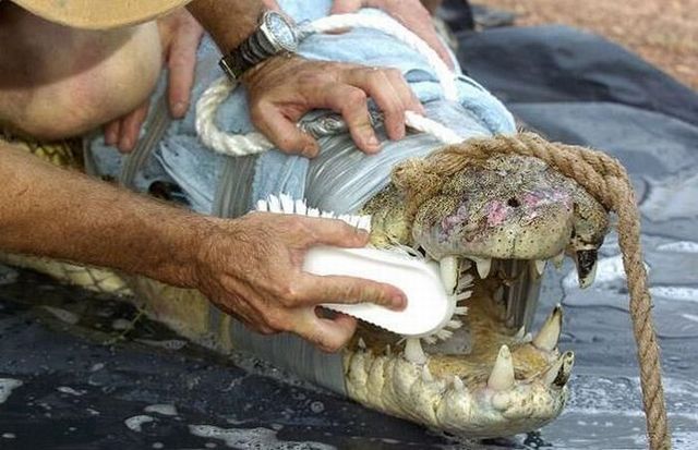 Daily picdump (108 pics)