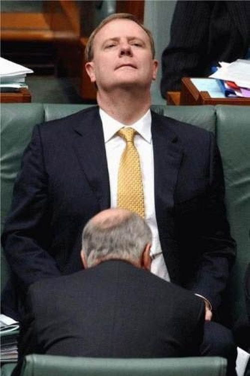 Politics is a delicate thing (51 pics)