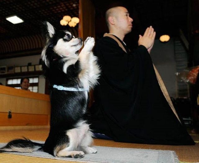 Only in Japan (50 pics)