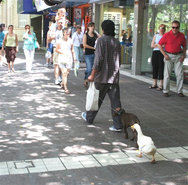 Daily picdump (107 pics)