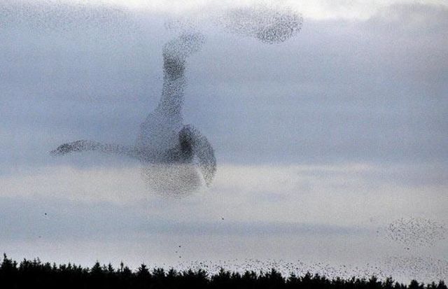 Daily picdump (118 pics)