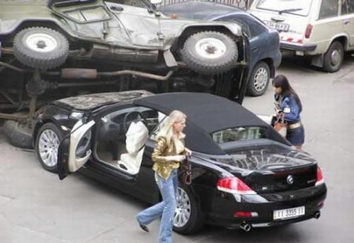 Blondes Will Be blondes! )) (59 pics)