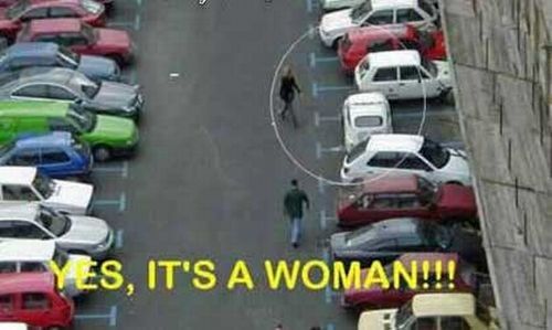 Blondes Will Be blondes! )) (59 pics)