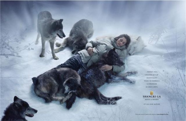Great Creative Ad Prints (107 pics)