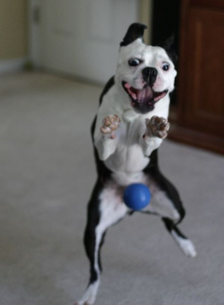 Funny ‘Oops’ Selection (43 pics)