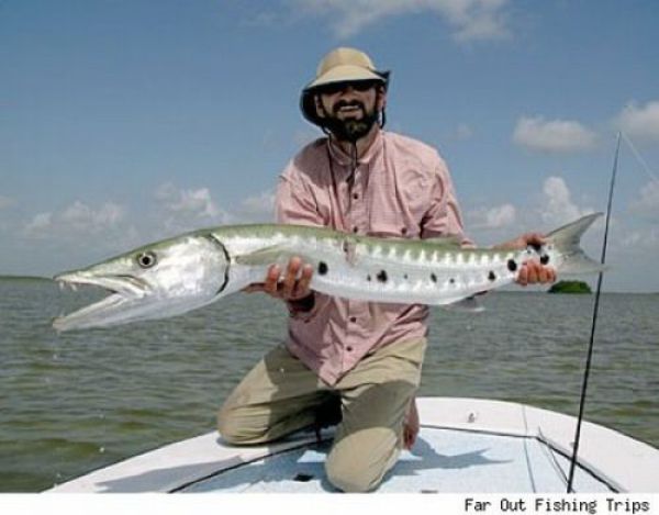 Fisherman’s Dream (31 pics)