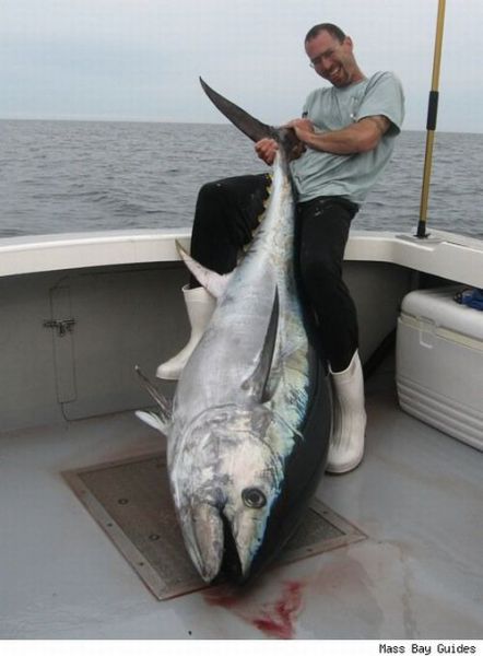 Fisherman’s Dream (31 pics)