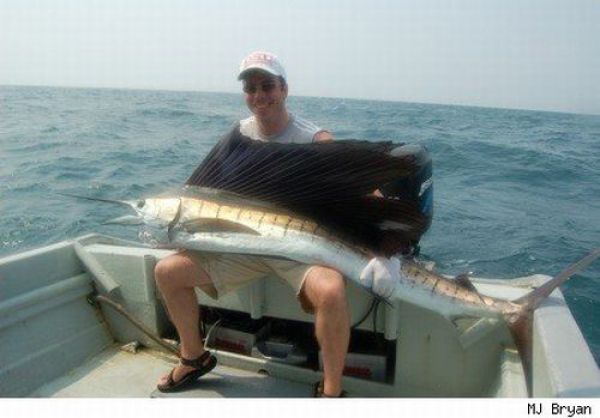 Fisherman’s Dream (31 pics)