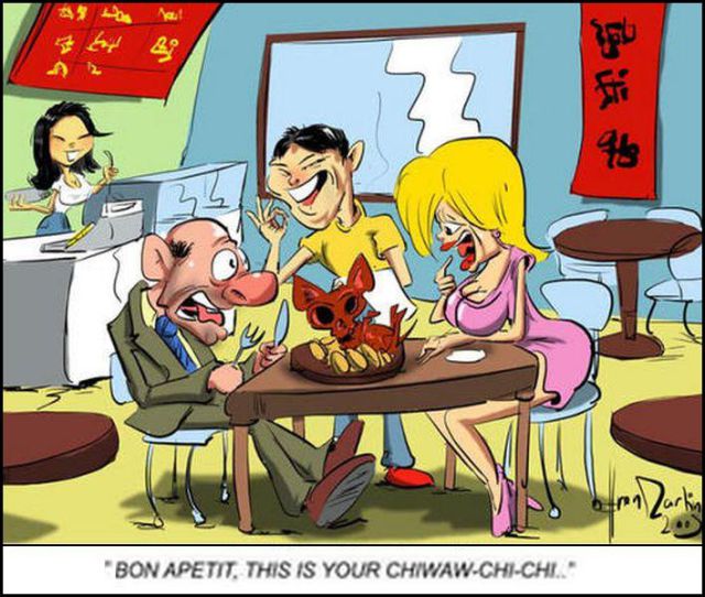 New Funny Collection of Cartoons