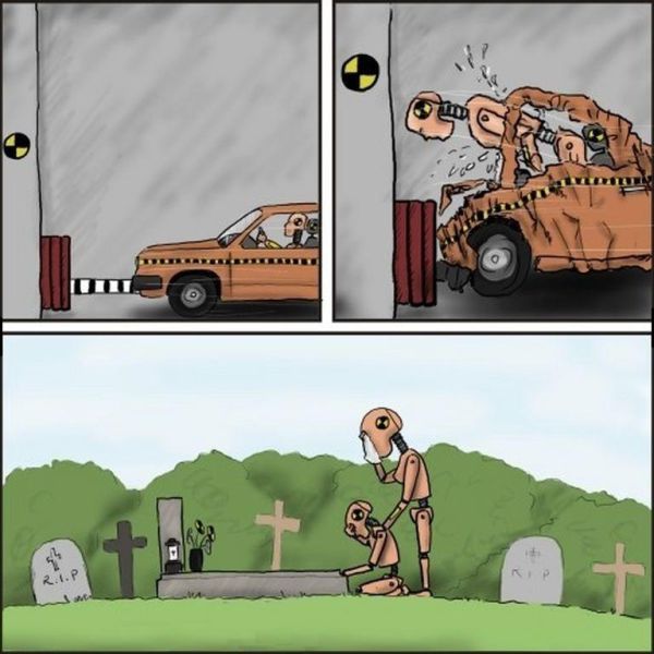 New Funny Collection of Cartoons