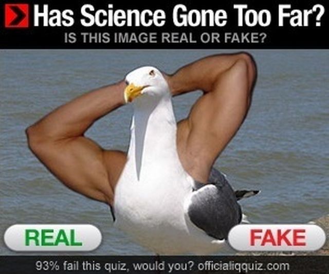 Daily picdump WEEKEND EDITION