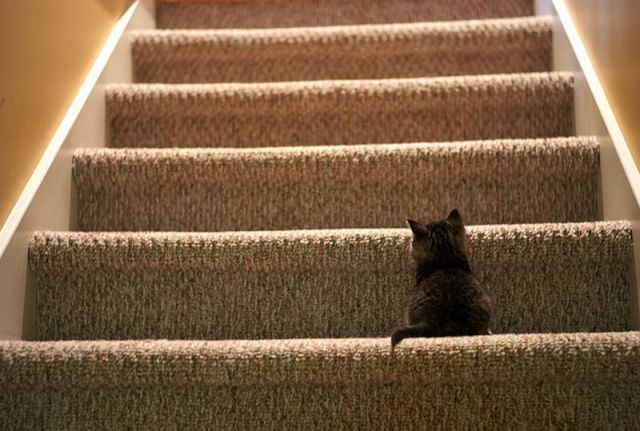 Daily picdump WEEKEND EDITION