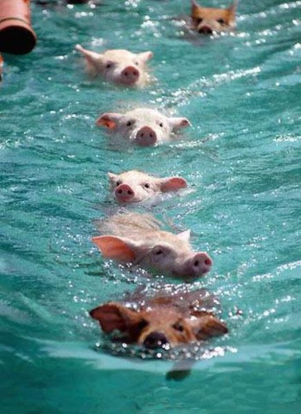 Daily picdump WEEKEND EDITION