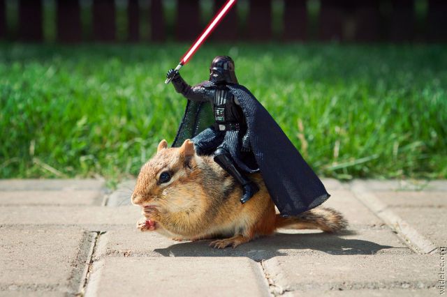 Funny Star Wars Fan Art