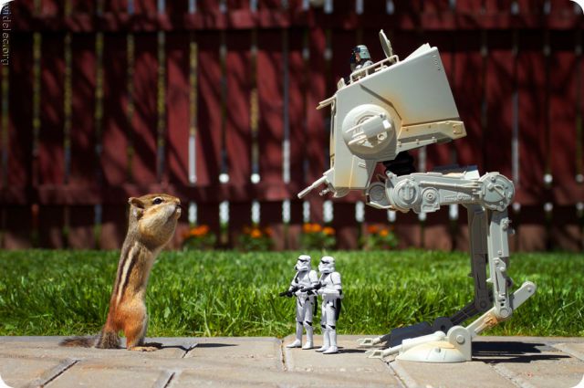 Funny Star Wars Fan Art