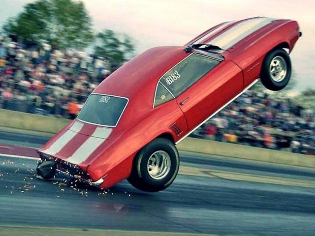Daily picdump