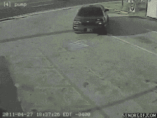 Friday Gif Selection