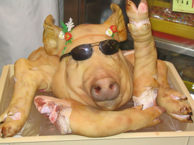 Daily picdump